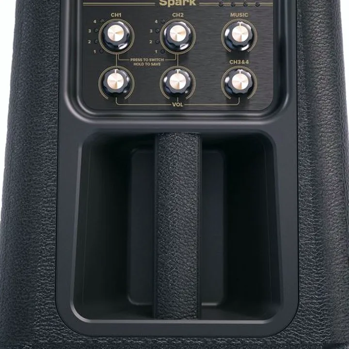 Test et Avis : Positive Grid Spark Edge BK