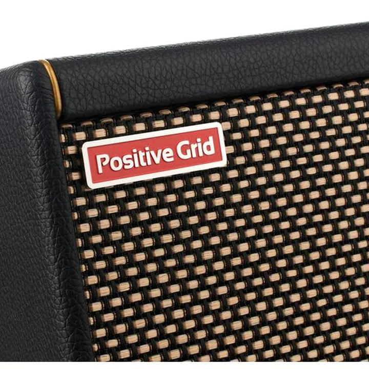 Test et Avis Positive Grid Spark Mini BK
