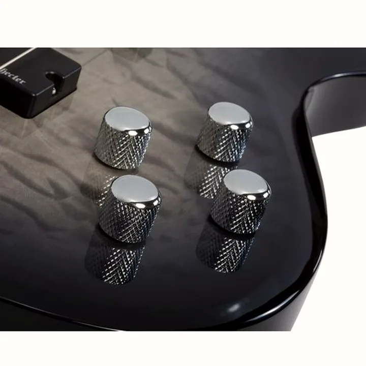 Test et Avis : Schecter C-4 Plus Charcoal Burst