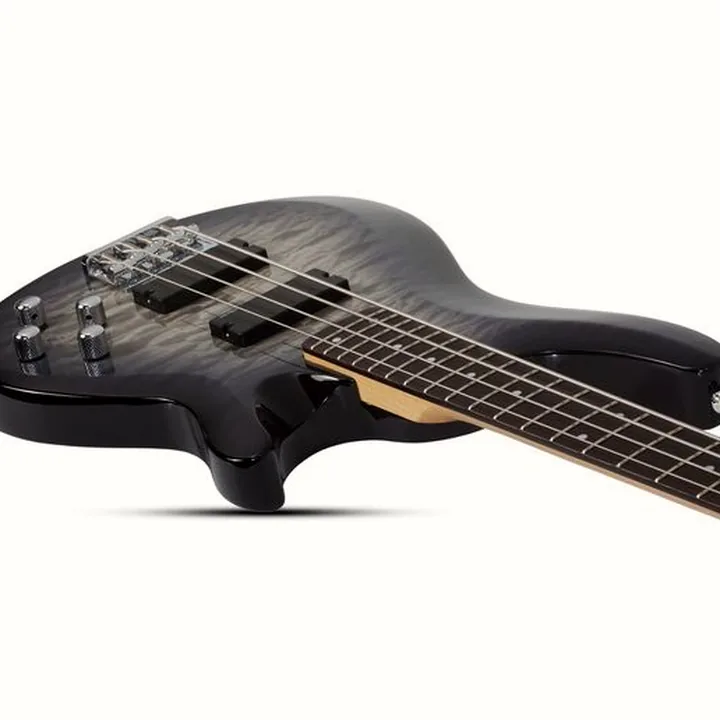 Test et Avis : Schecter C-4 Plus Charcoal Burst