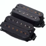 Test et Avis : Seymour Duncan Pegasus Sentient 6 Set Black