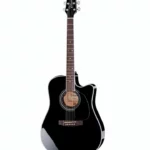 Test et Avis : Takamine EF341SC w/Softcase