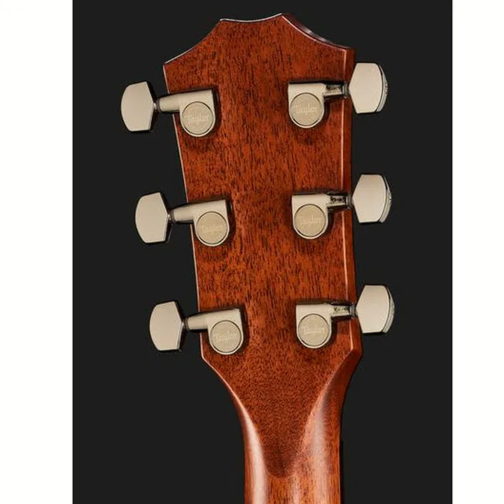 Test et Avis : Taylor Builders Edition 717e WHB
