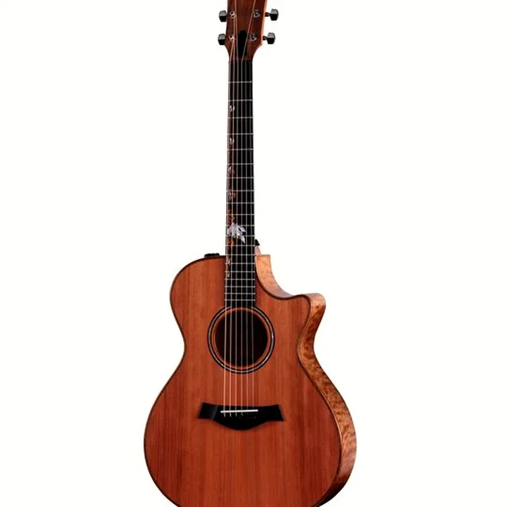 Test et Avis Taylor Custom #16: Amber Tide