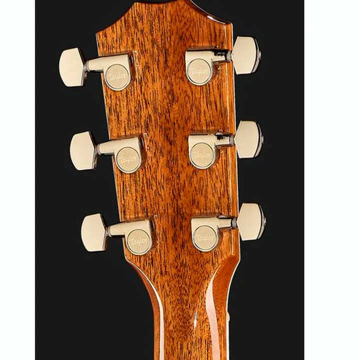 Test et Avis Taylor Legacy Edition 810e