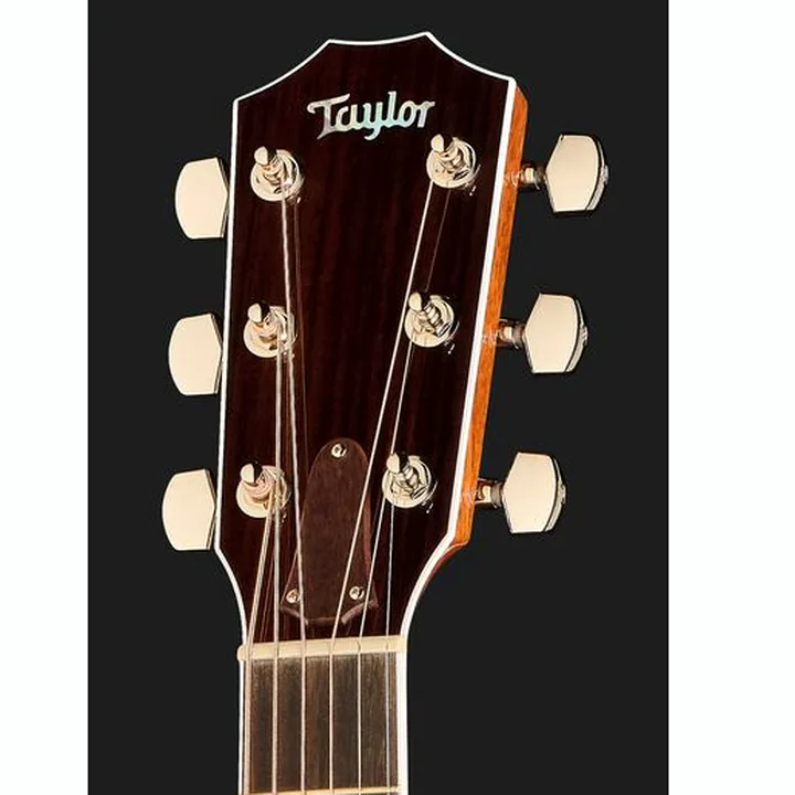 Test et Avis Taylor Legacy Edition 810e