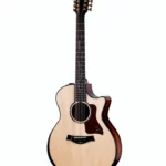 Test et Avis : Taylor PS54ce