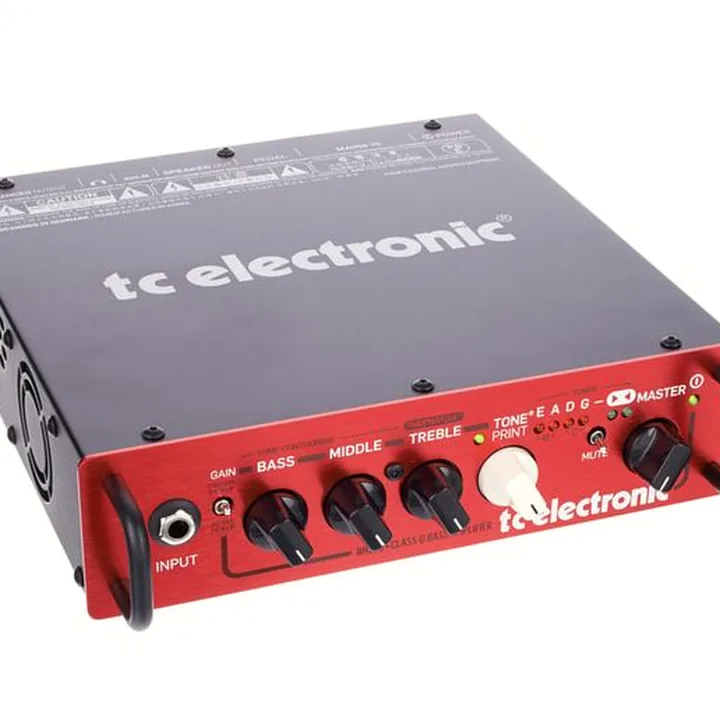 Test et Avis tc electronic BH250