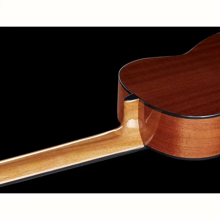 Thomann Classica Fusion 8 String
