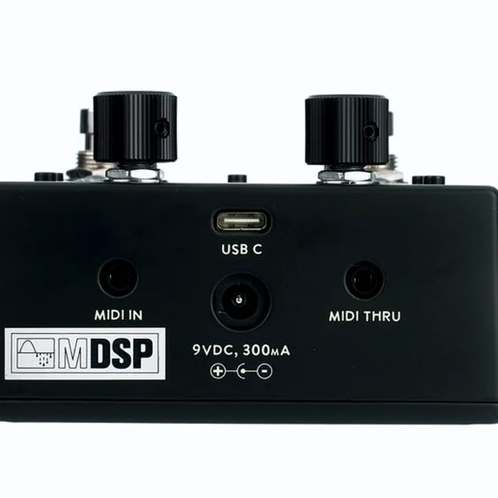 Walrus Audio Xero Polylooper Black Test & Avis