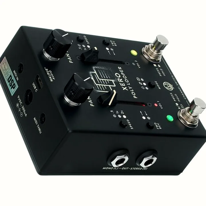 Walrus Audio Xero Polylooper Black Test & Avis