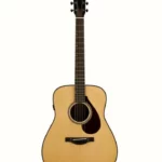 Yamaha FG9 RX : Test, Avis